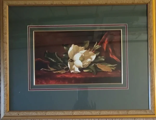 Magnolia